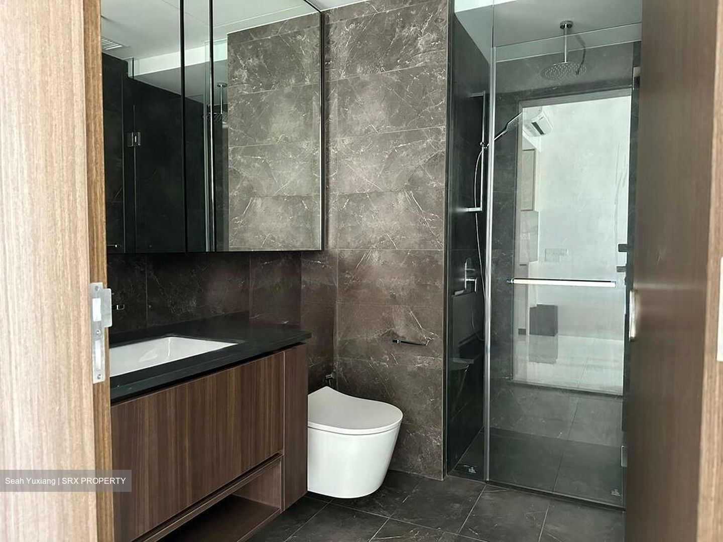 Kopar At Newton (D9), Apartment #503187681